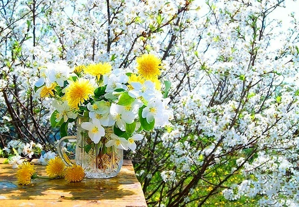 Весна солнце