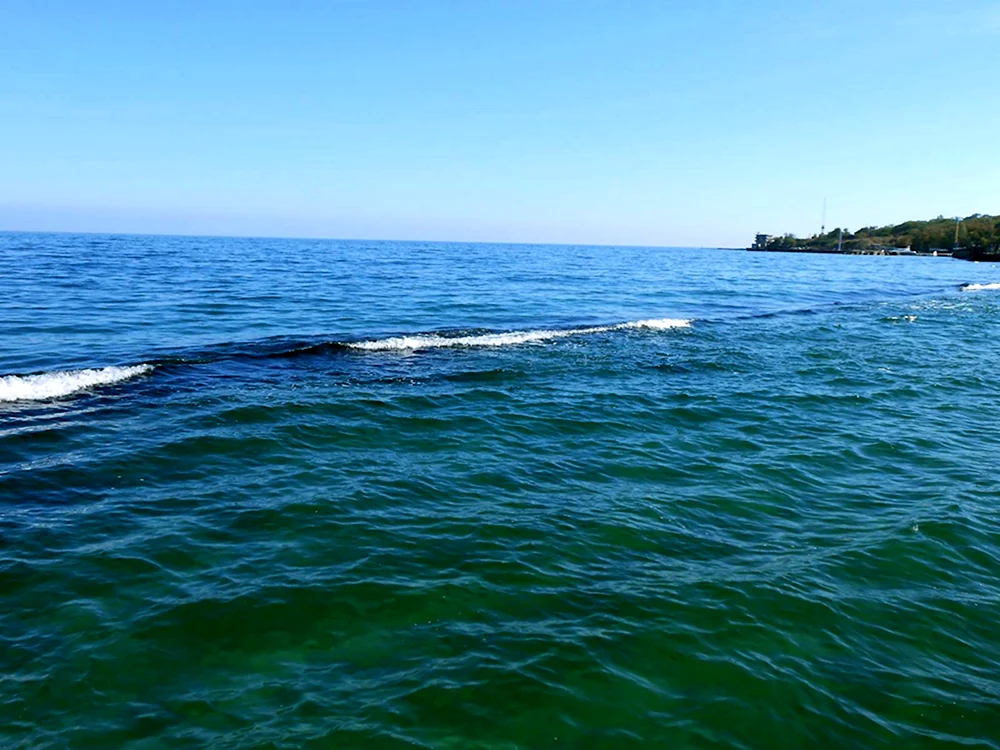 Волнорезы на черном море