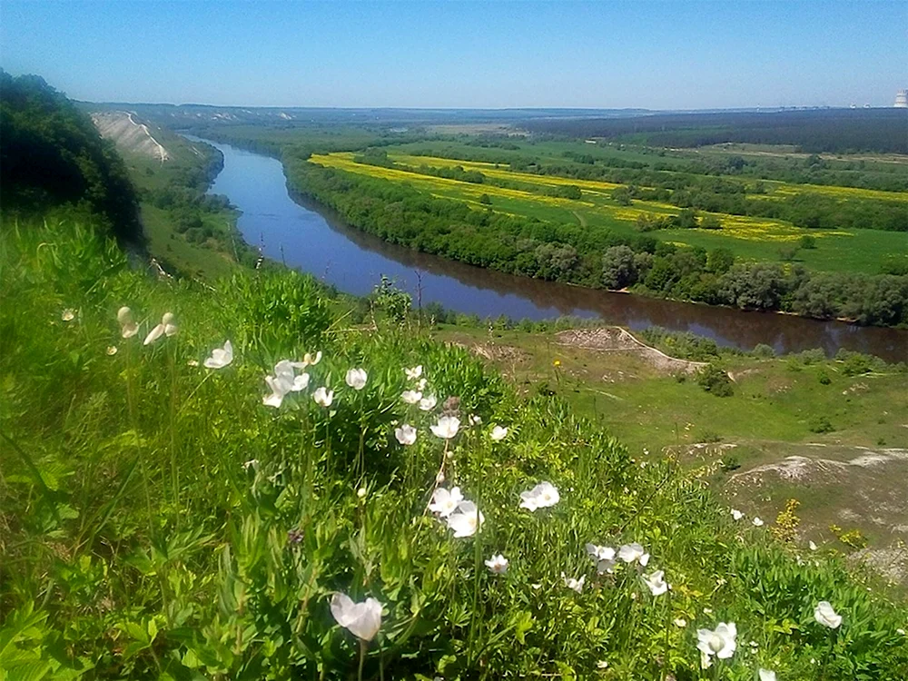 Воронежский район природа
