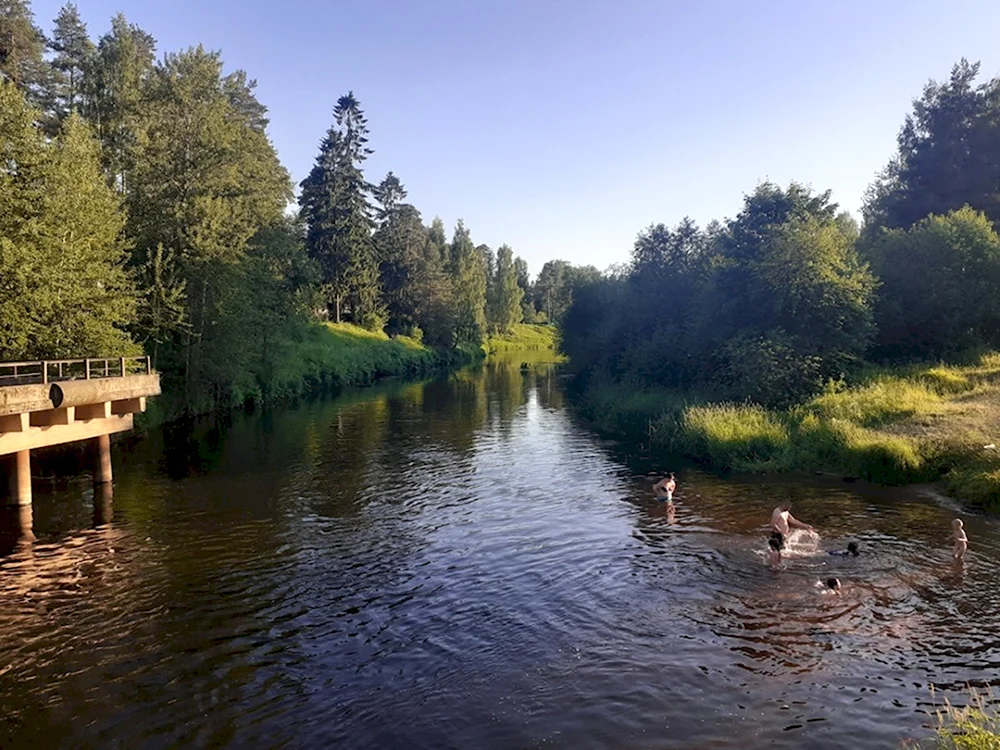 Вырица река Оредеж