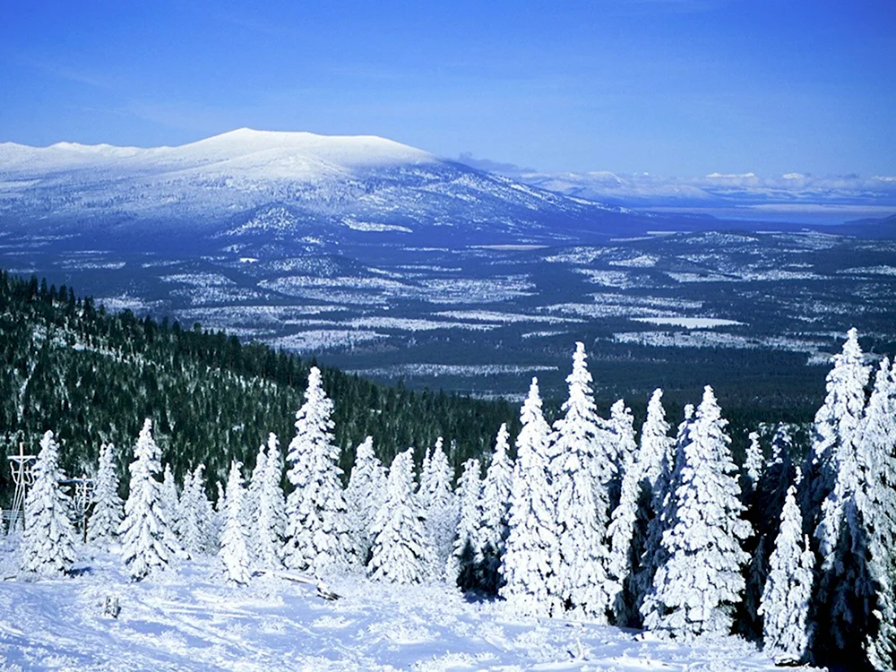 Зима