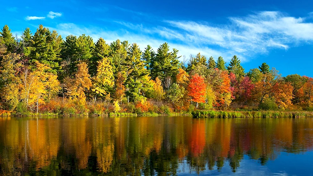 Золотая осень озеро природа река лес