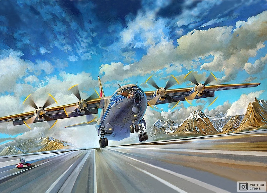 048 Roden самолет АН-12бк