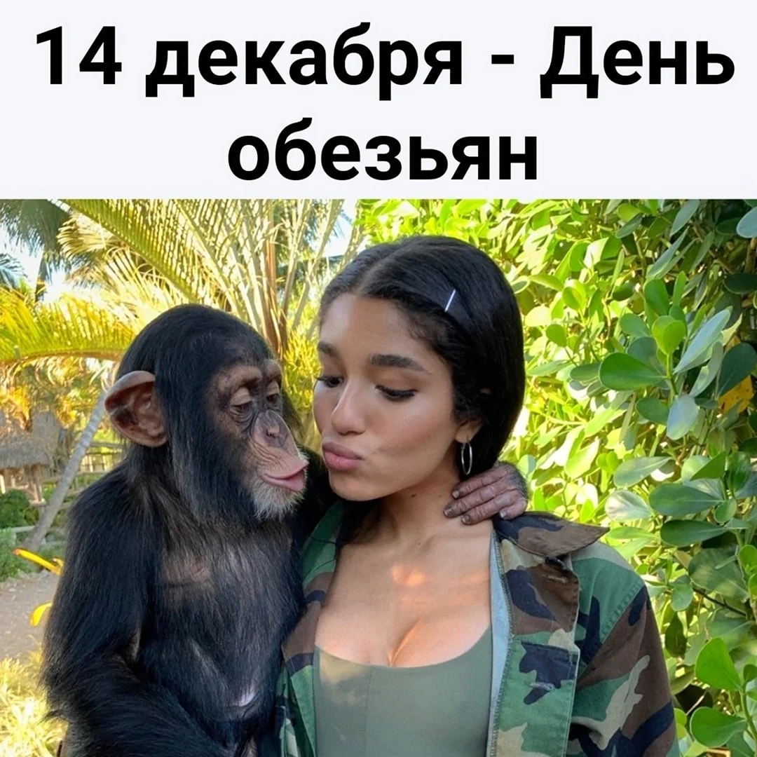 14 Декабря праздник день обезьян