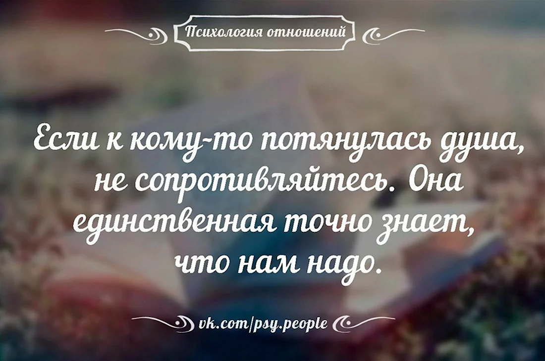 Афоризмы про отношения