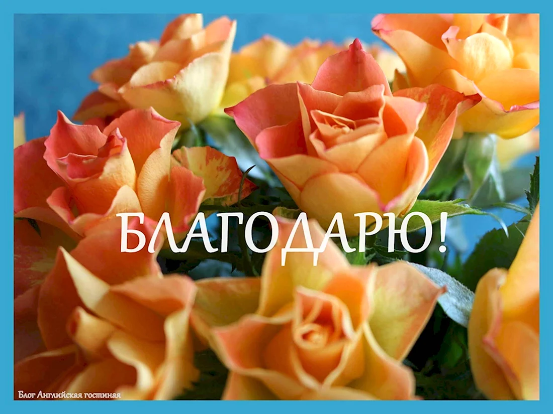 Благодарю