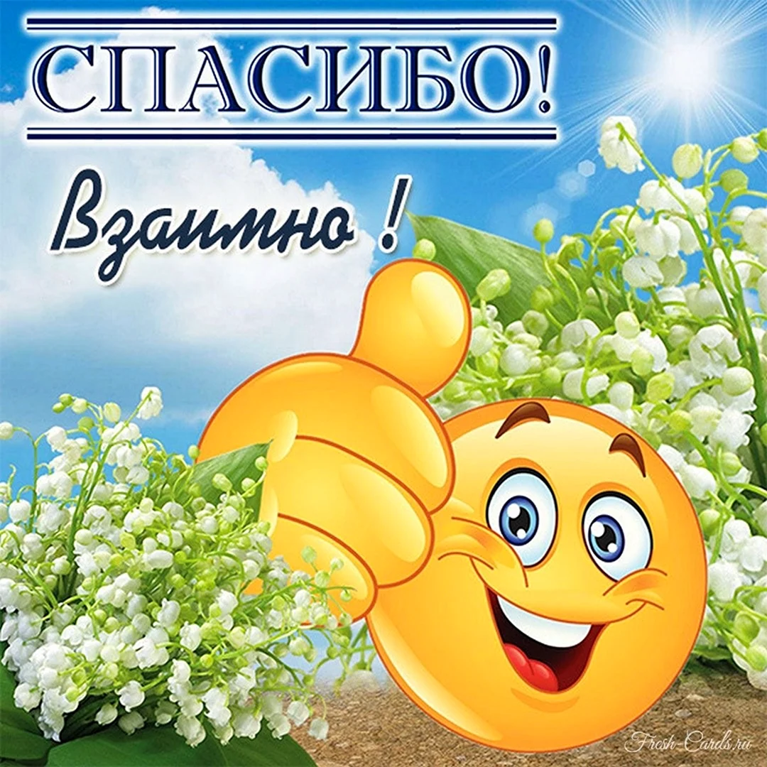 Благодарю за поздравления