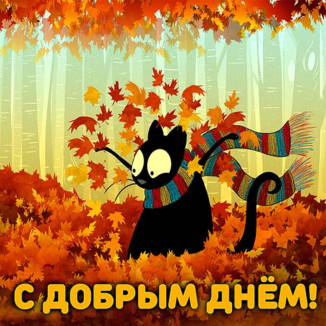 Чудеса осени