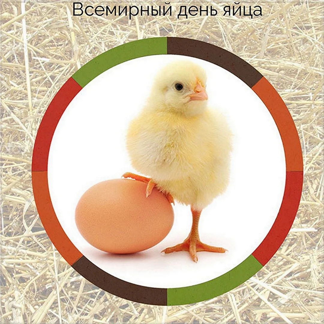 День яйца