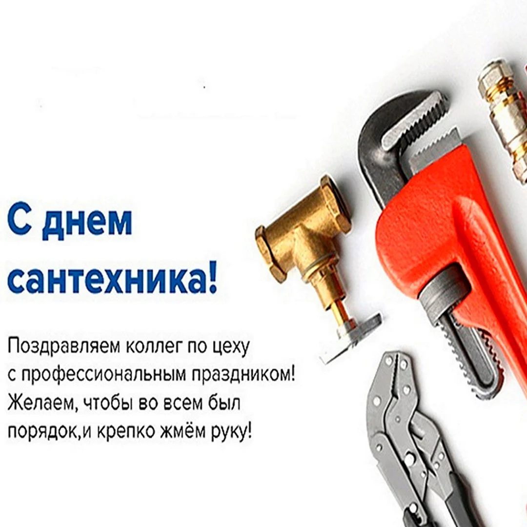 День сантехника