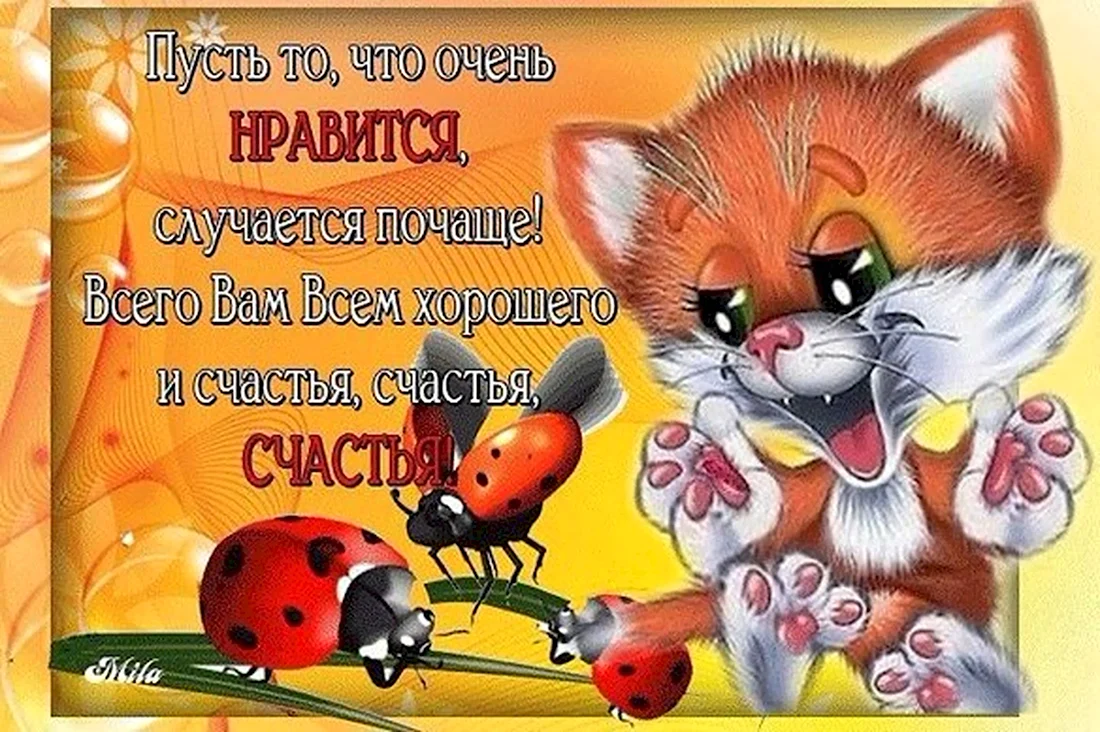 День счастье случается