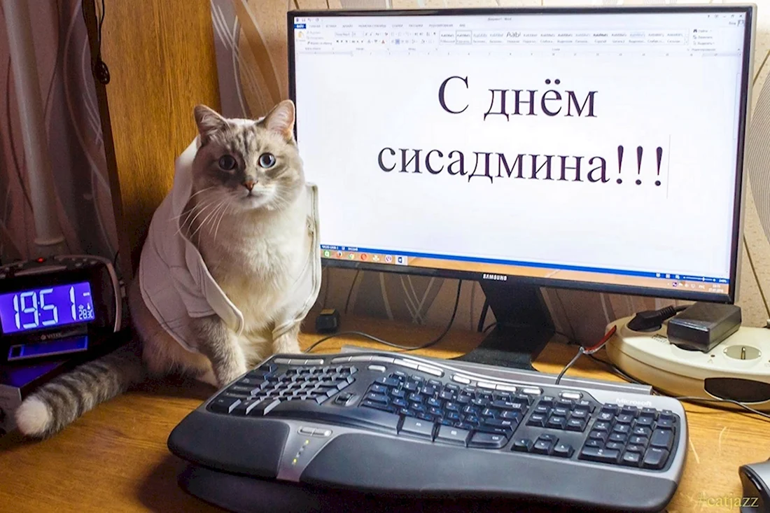 День системного администратора