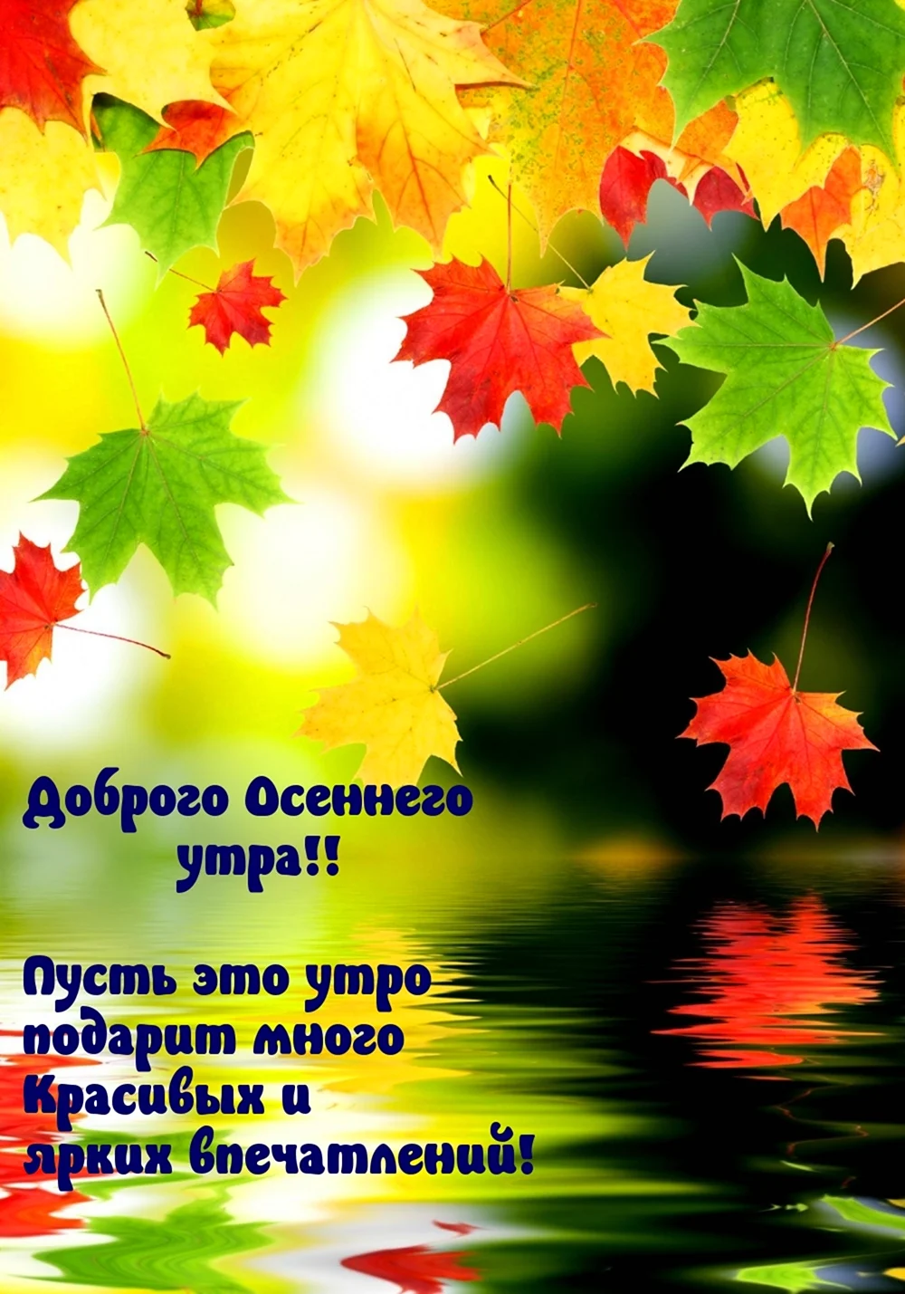 Доброе утро осень