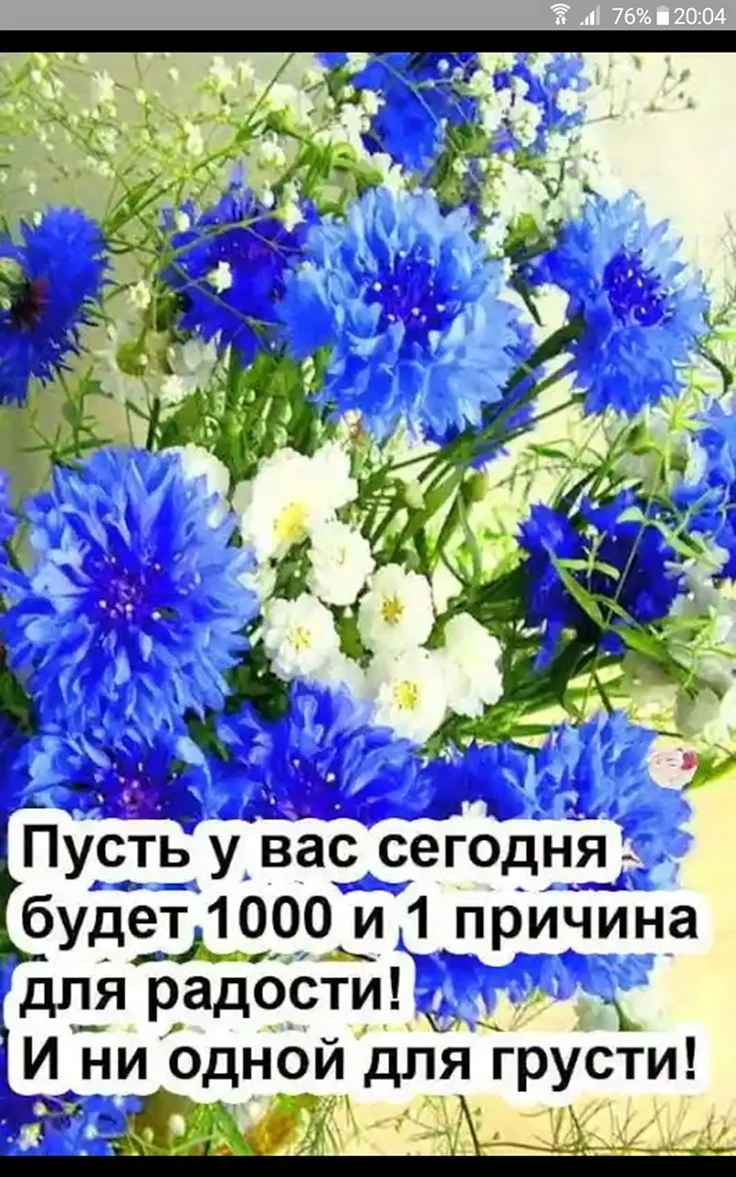 Добрые пожелания с васильками