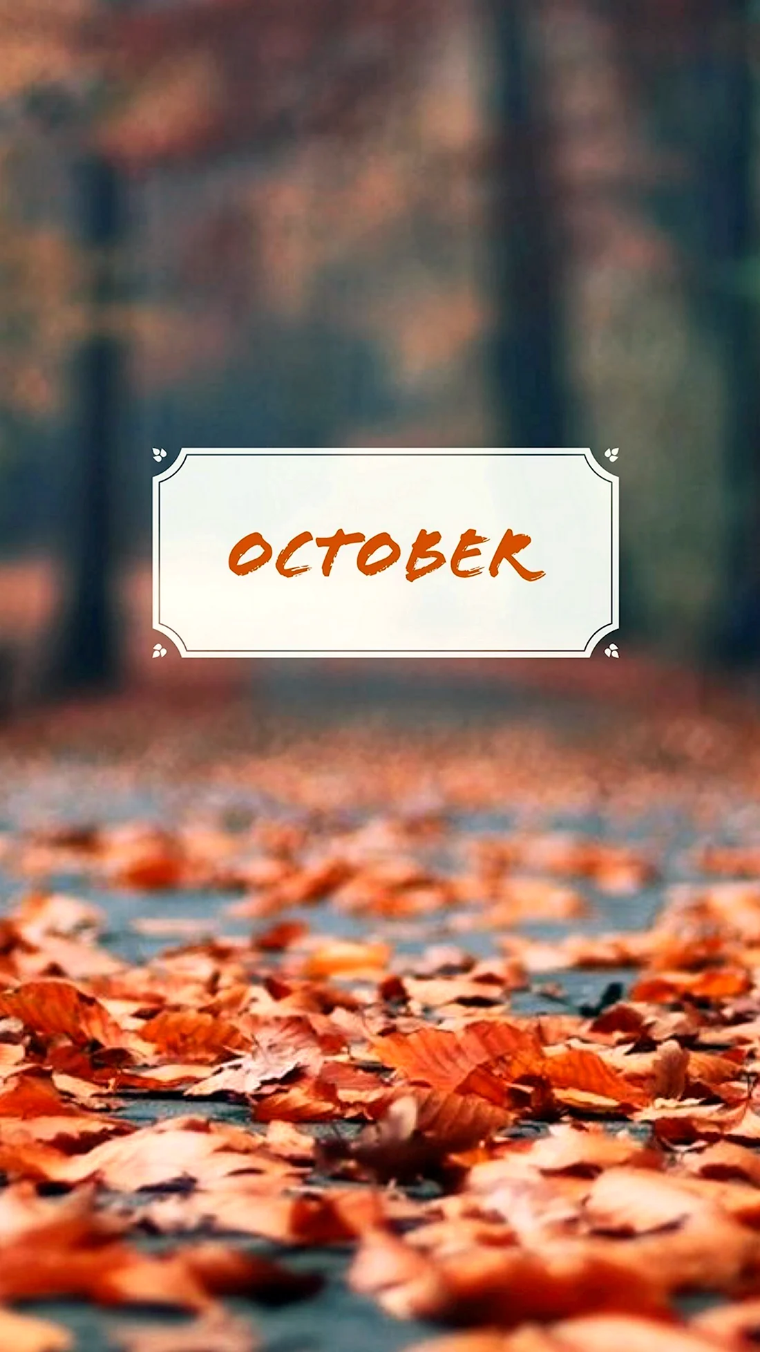 Эстетика осени October
