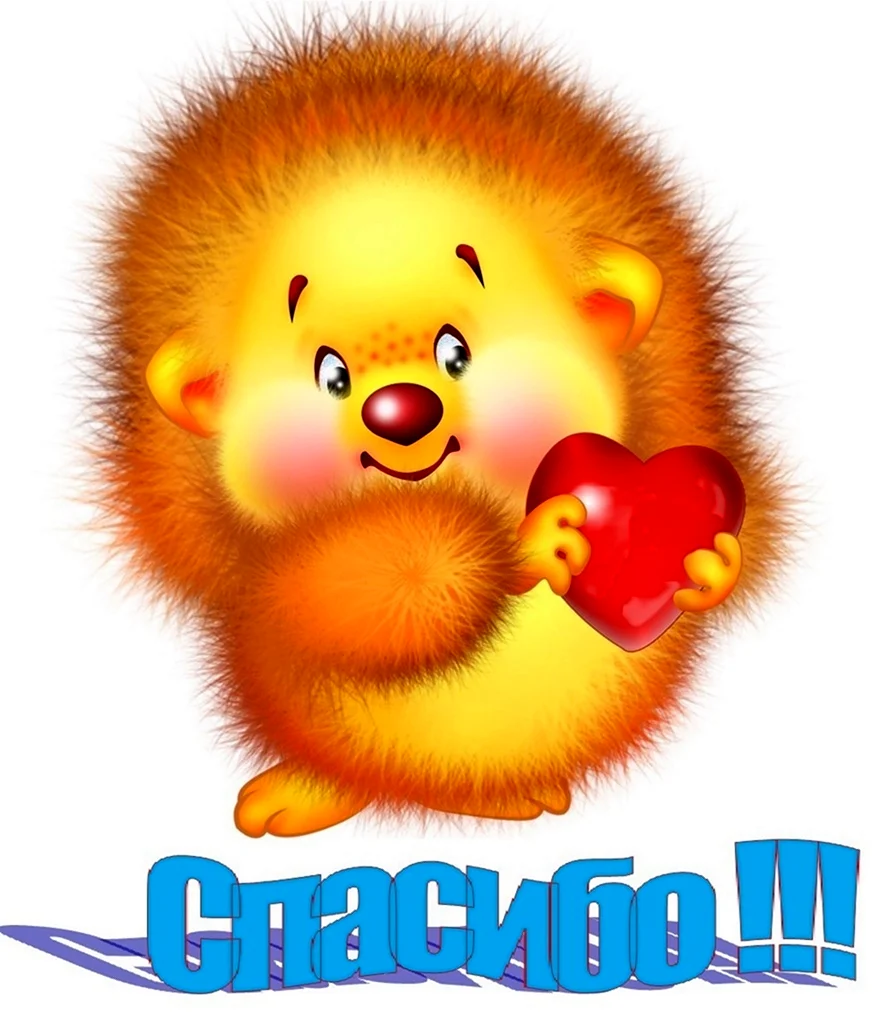 Ёжик и сердечко