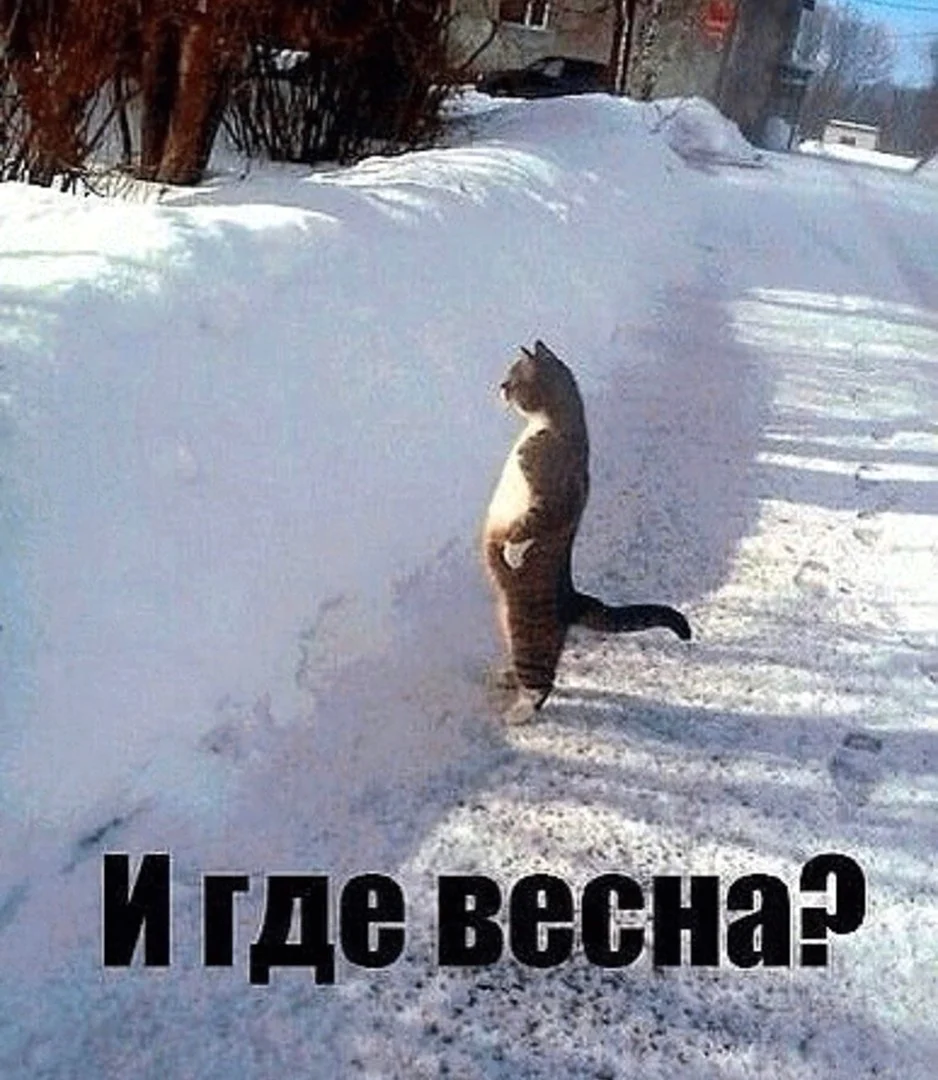 Где Весна