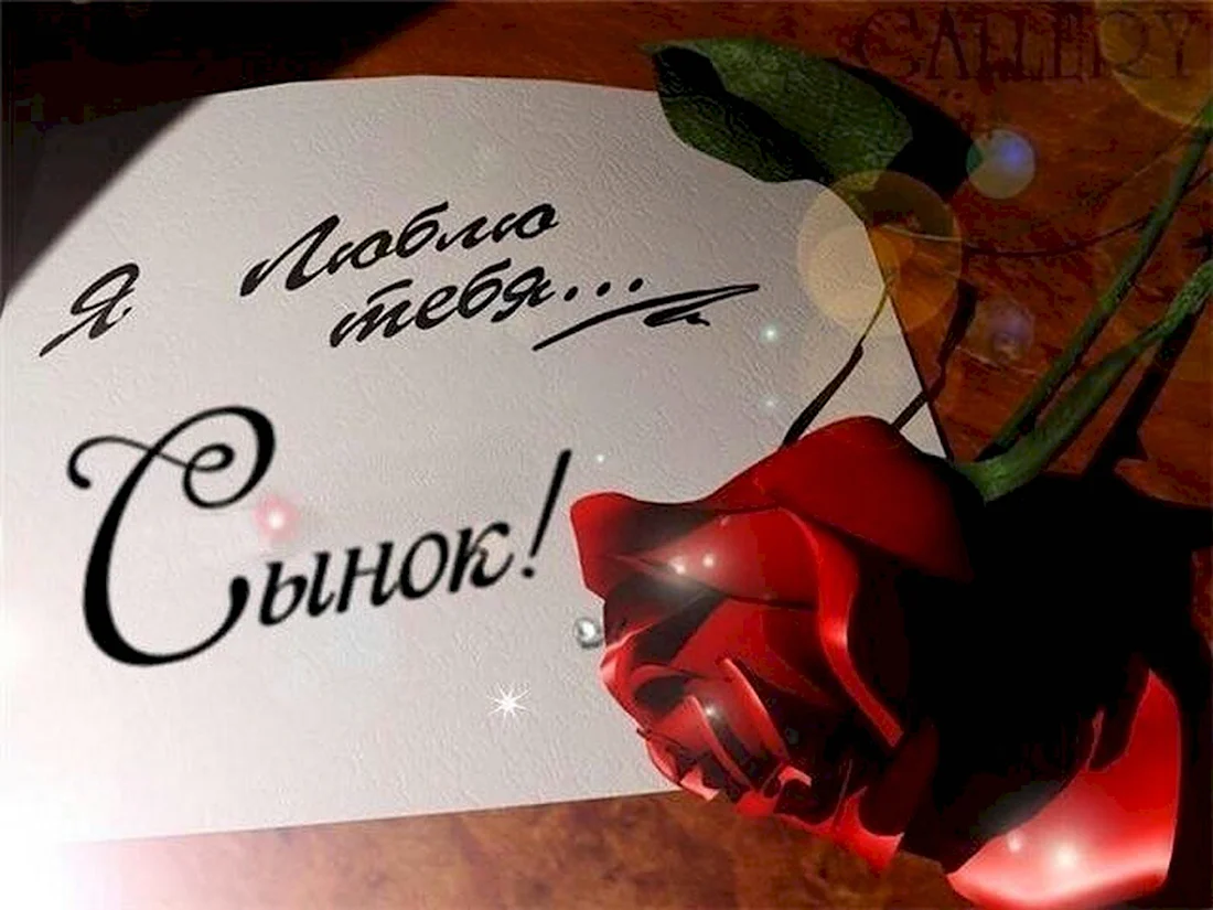 Я тебя люблю
