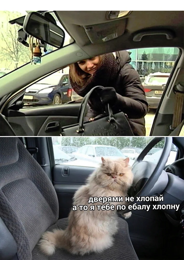Хлопнул дверью в машине