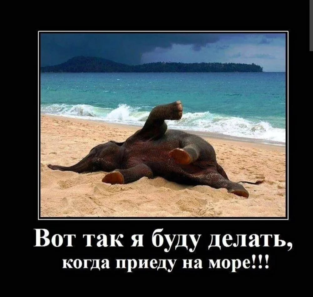 Когда наконец приехал на море