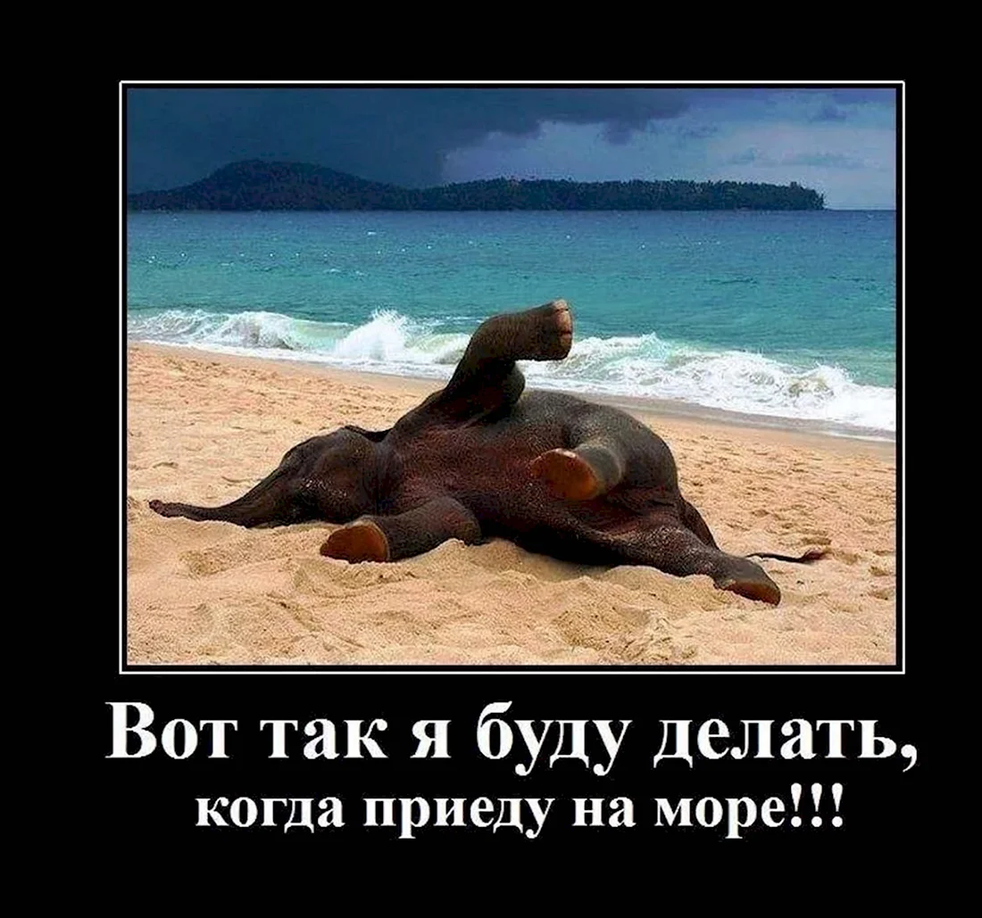 Когда наконец приехал на море