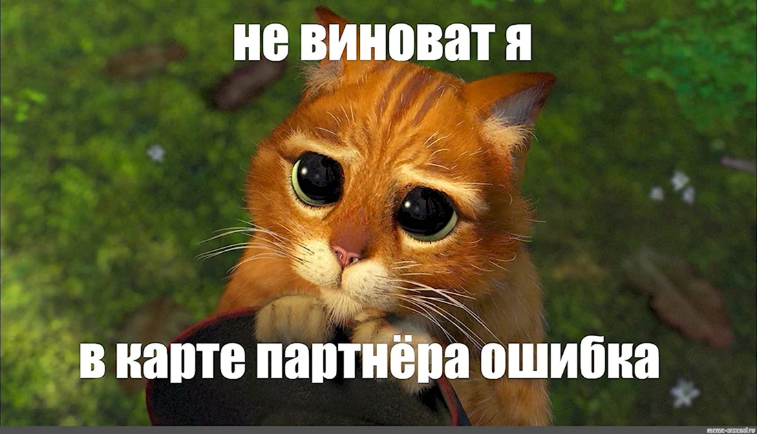Кот из Шрека