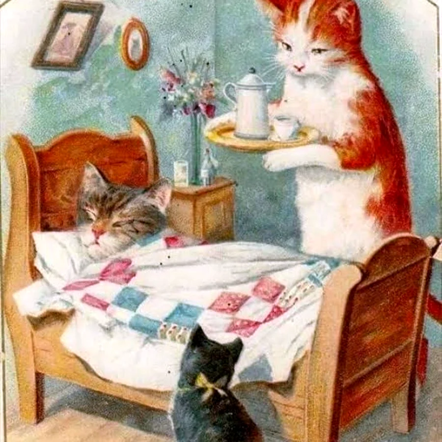 Котенок болеет