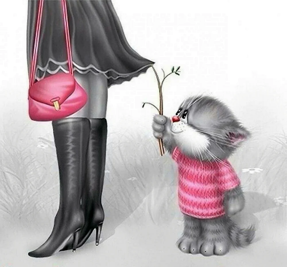 Коты Алексея Долотова любовь