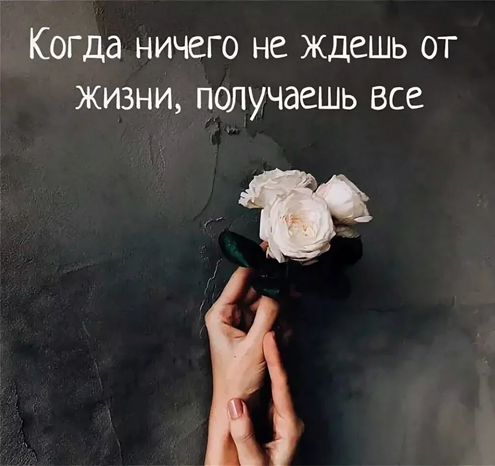 Красивые цитаты