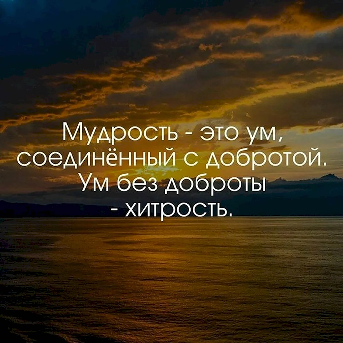 Красивые цитаты