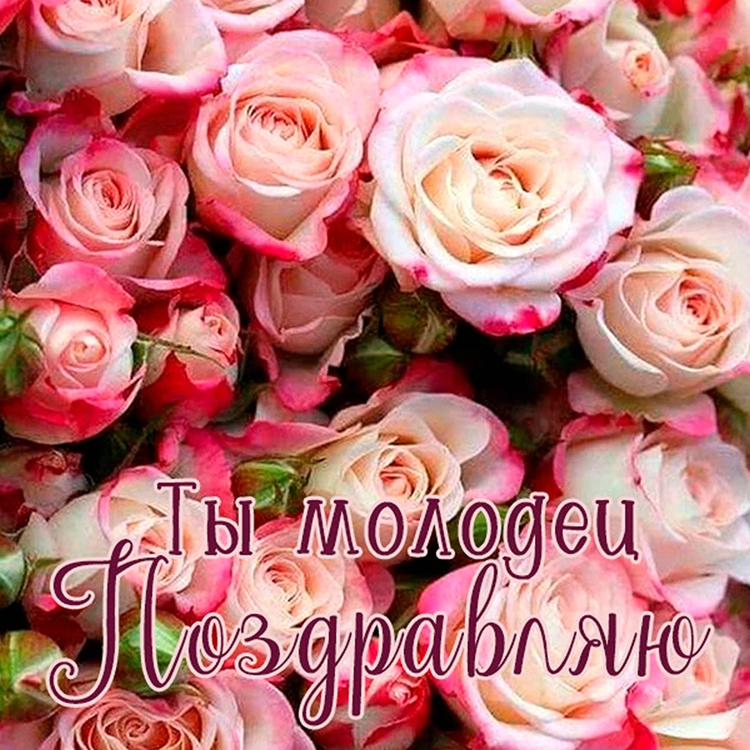Красивые цветы