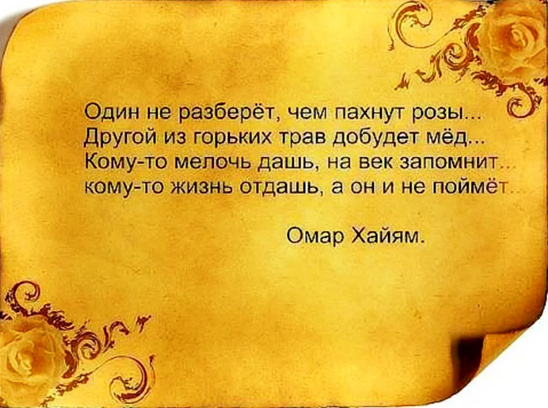 Мудрость жизни