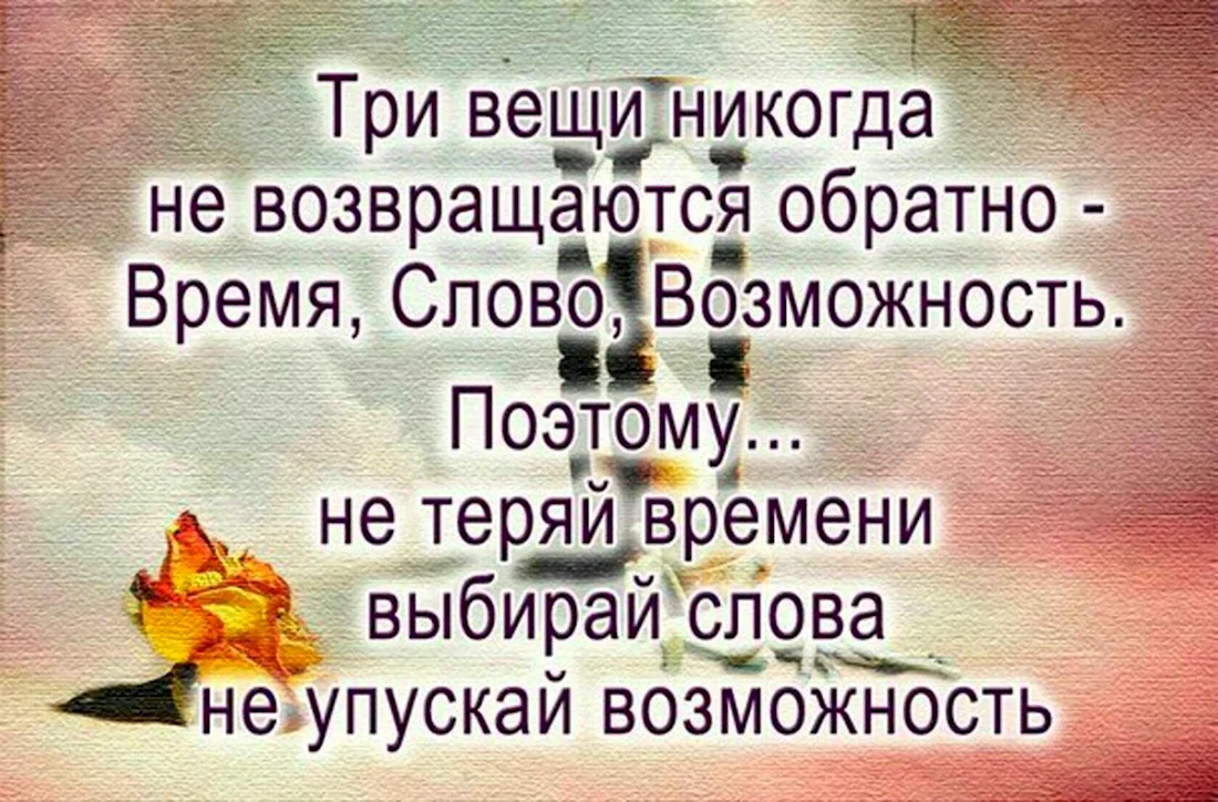 Мудрые цитаты про работу