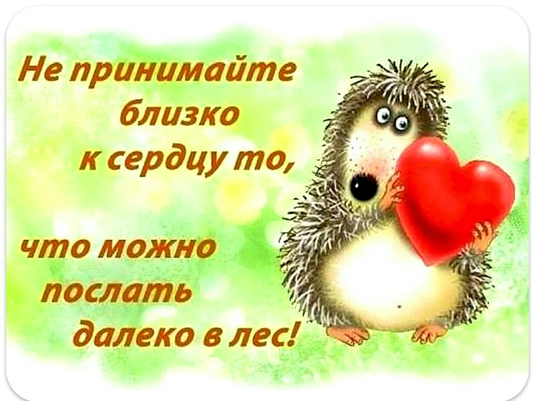 Не принимайте близко к сердцу