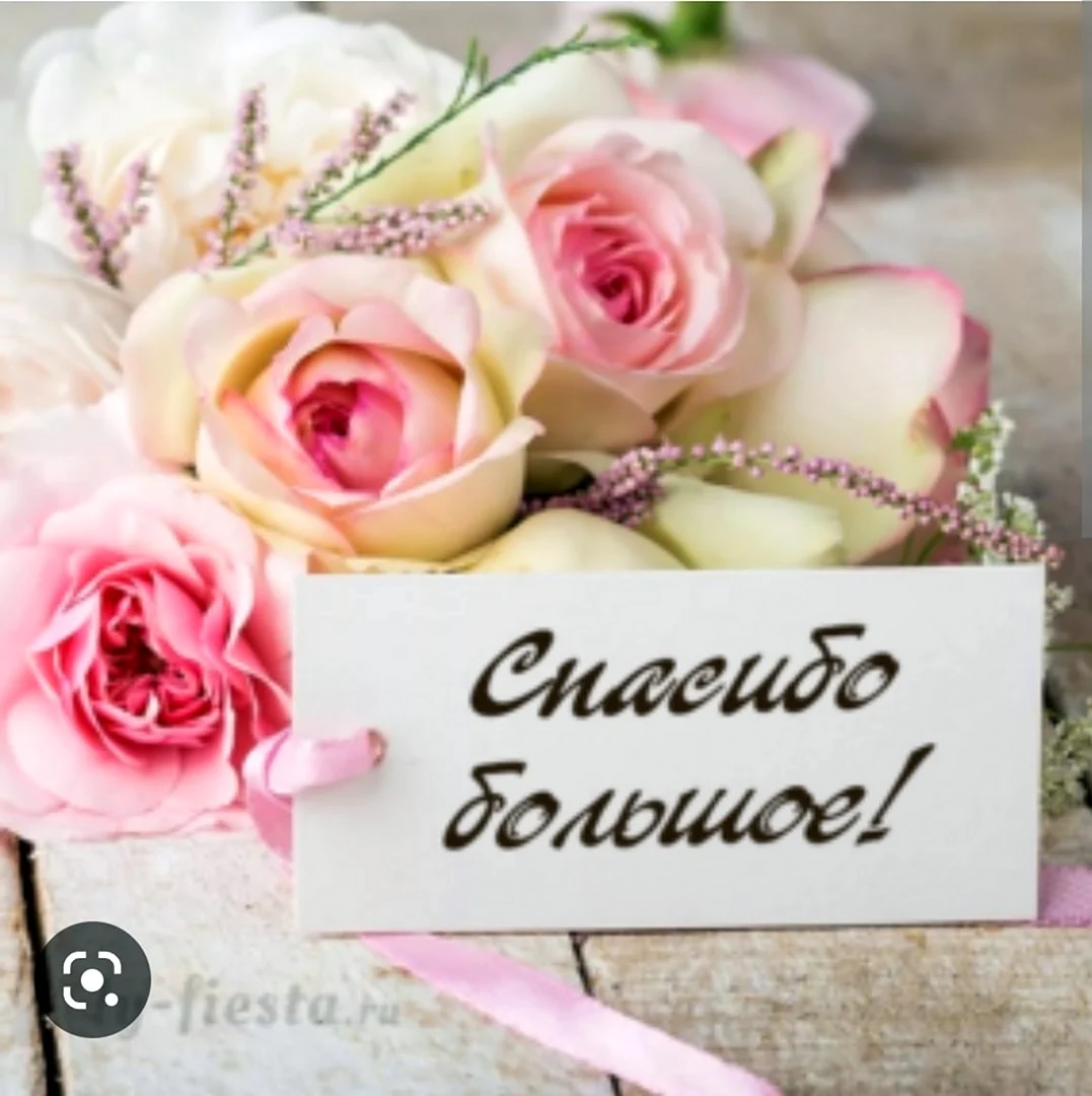Нежная открытка спасибо