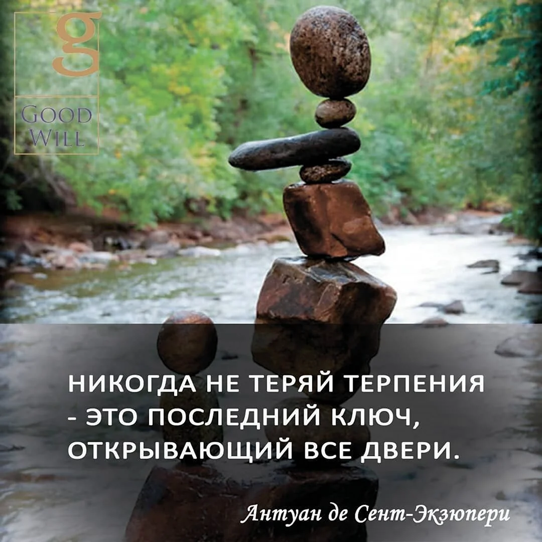 Никогда не теряй терпения
