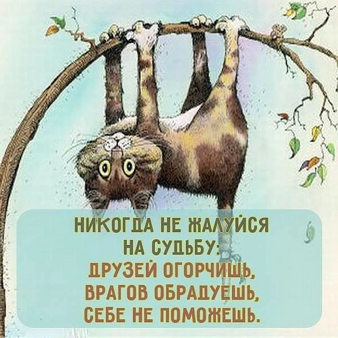 Никогда не жалуйся на судьбу