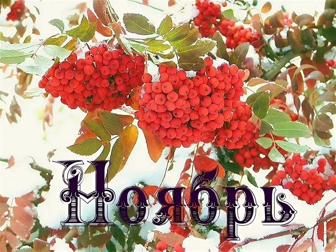 Ноябрь надпись