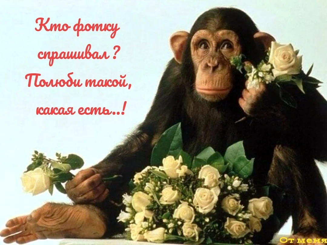 Обезьянка с цветами