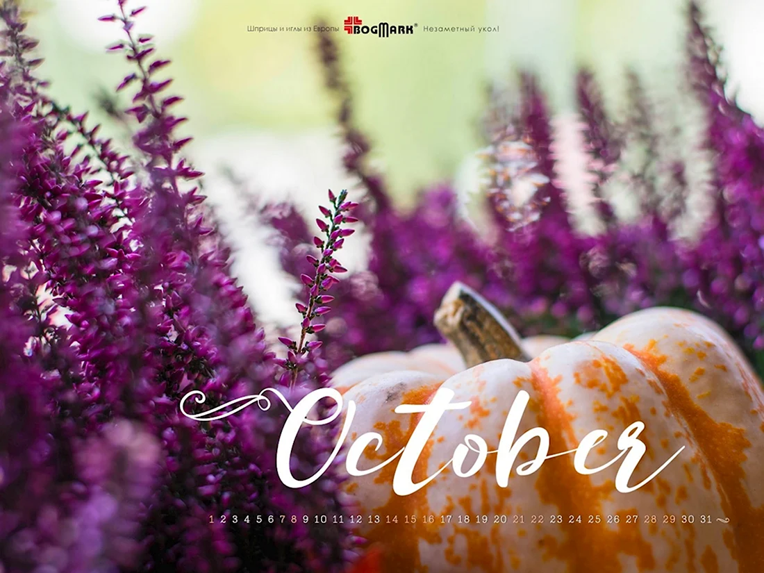Обои на рабочий стол October