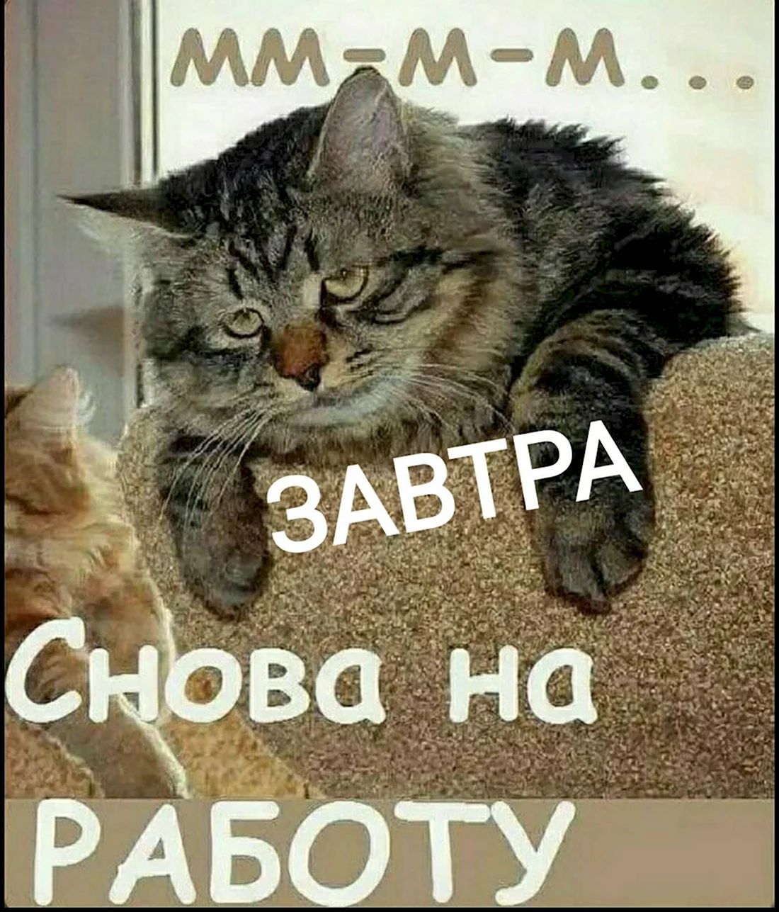 Опять понедельник
