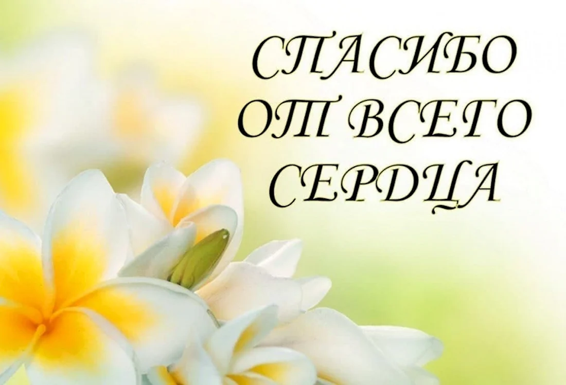 Отчет о поступлениях