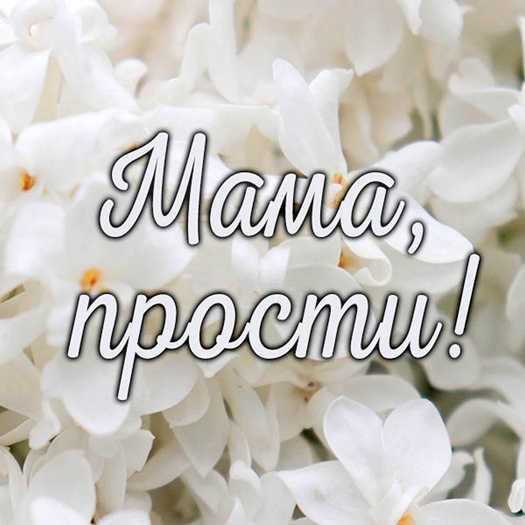 Открытка прости мама