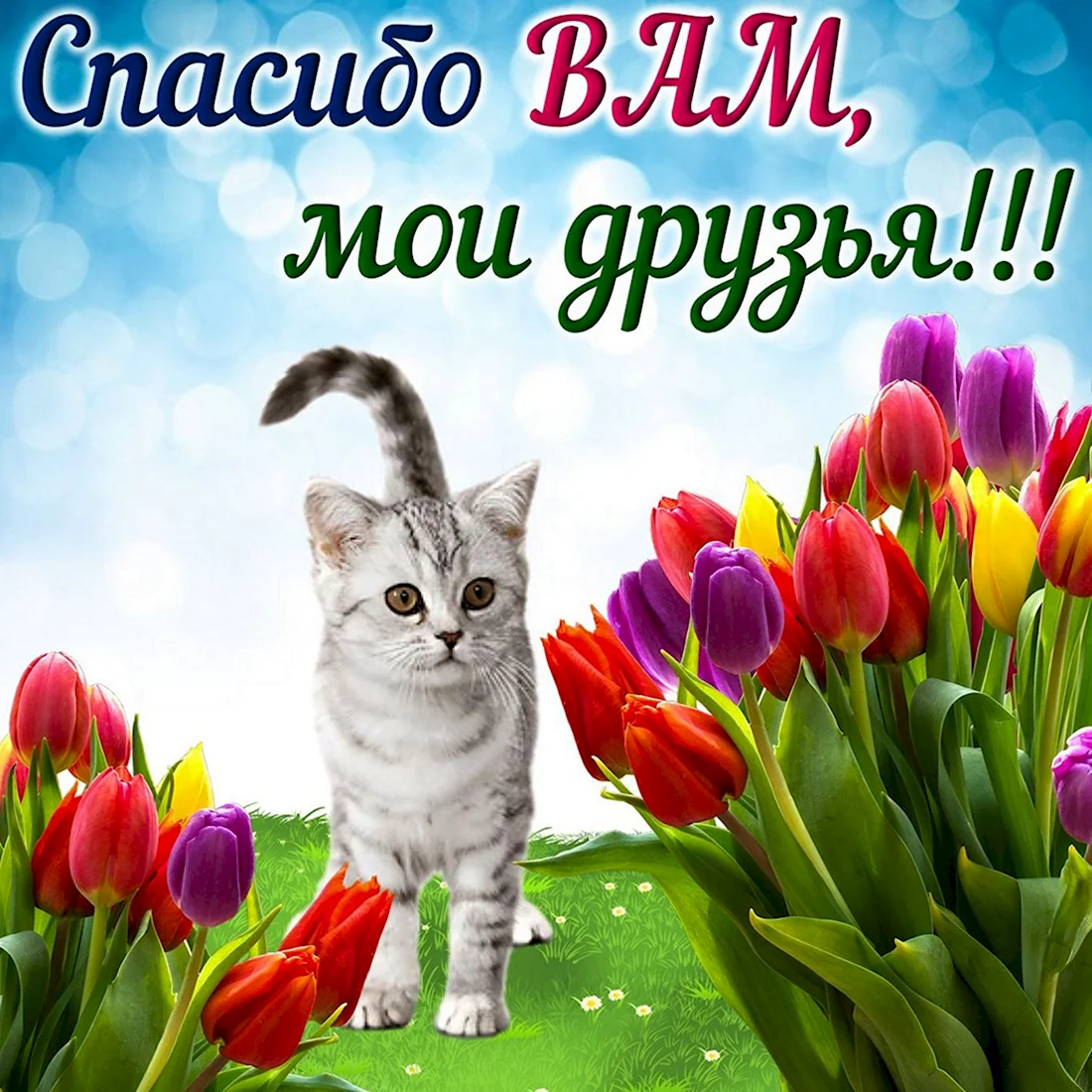 Открытка спасибо