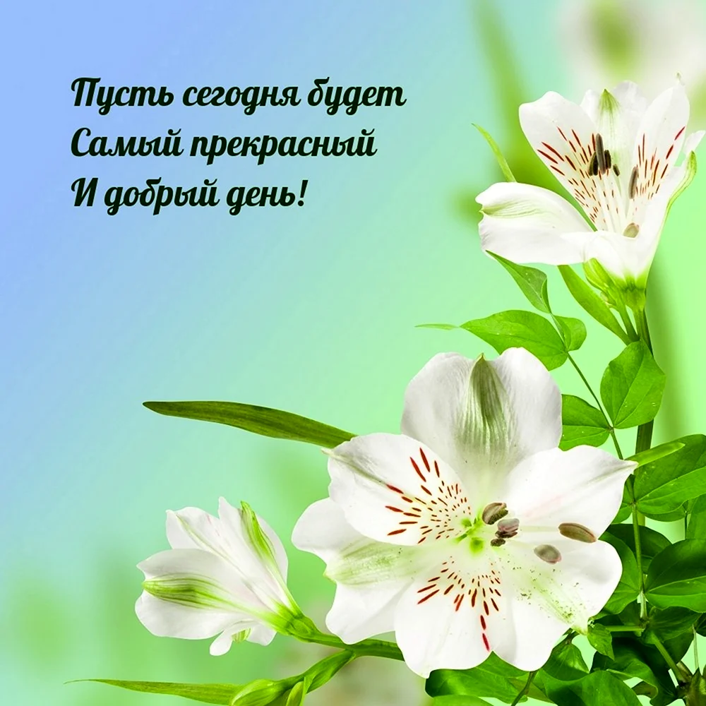 Открытки хорошего дня