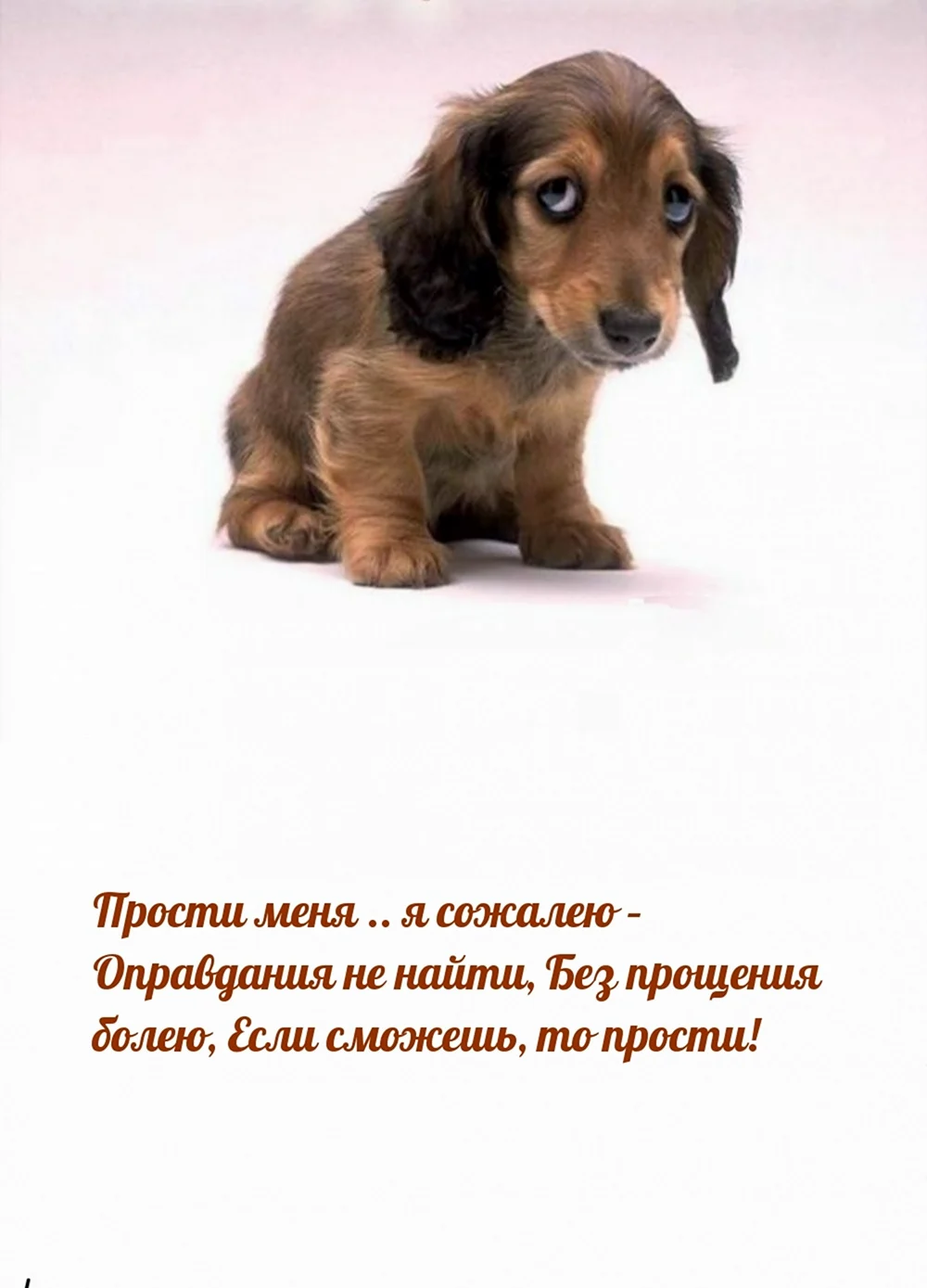 Открытки сожалею