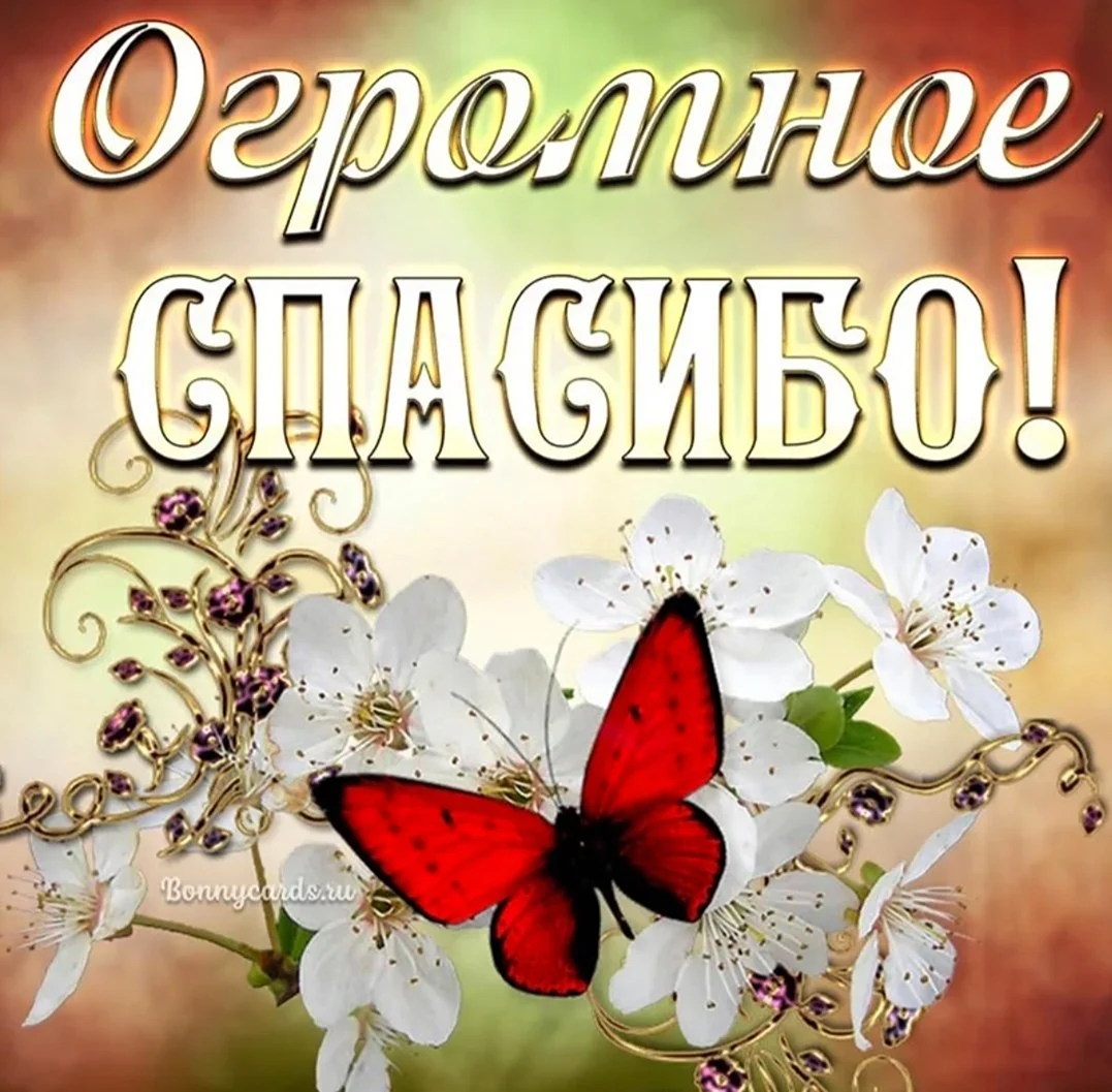 Открытки спасибо большое