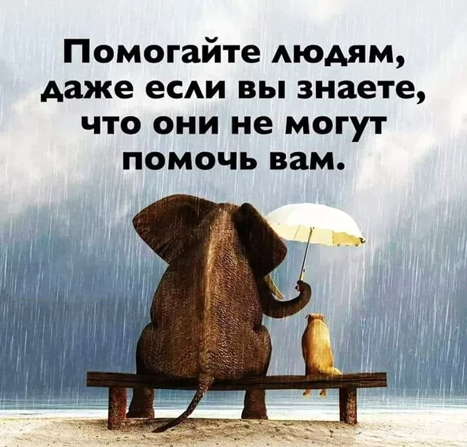 Помогать людям цитаты