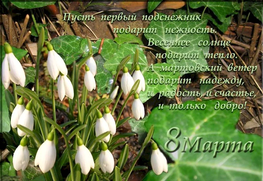 Поздравление с 8 марта