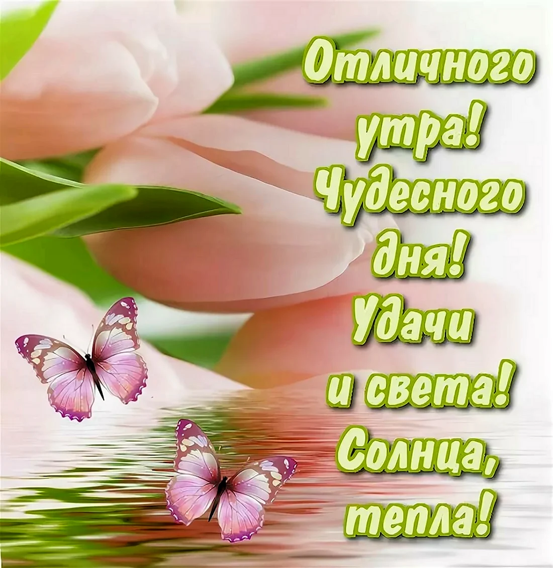 Пожелания доброго дня